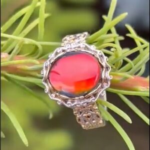 Ammolite Ring Michael Valitutti Gems en Vogue Silver & 18K Yellow Gold, size 10